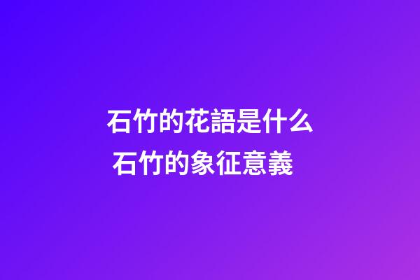 石竹的花語是什么 石竹的象征意義